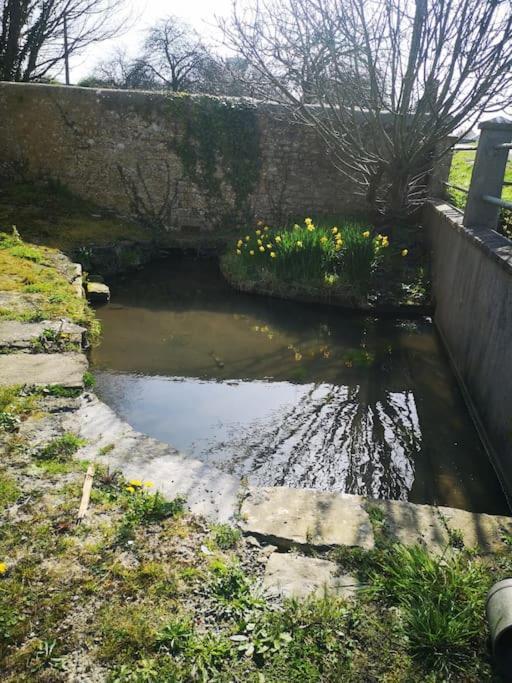 Gite Spacieux Et Chaleureux Sainte-Mère-Église Kültér fotó